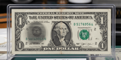 The Preservation Mistakes Collectors Make for UV Light Damage